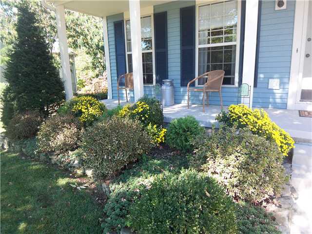 Yard/Garden