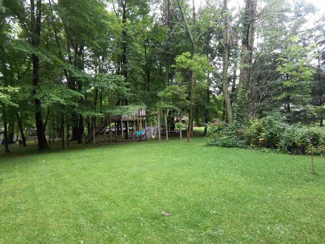 Yard/Garden
