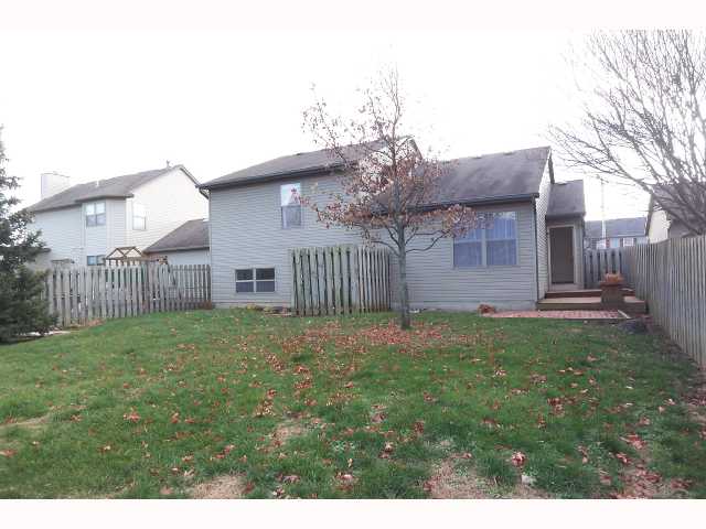 Yard/Garden