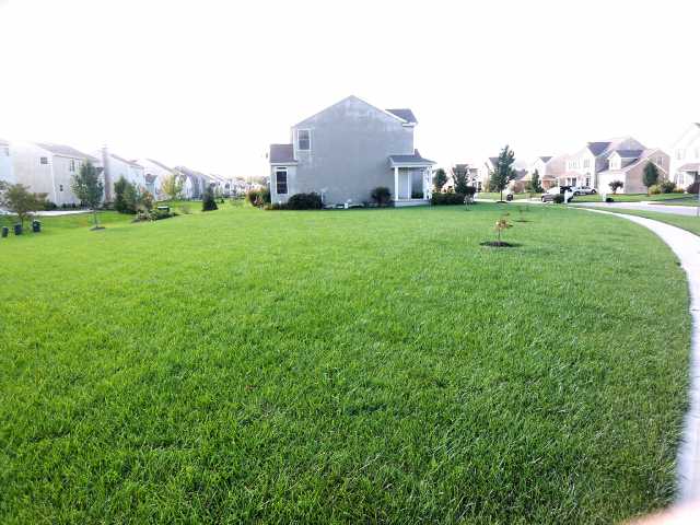 Yard/Garden:   Large corner yard - perfect for entertaining and family play! 