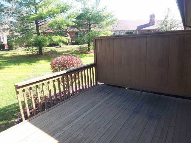 Yard/Garden