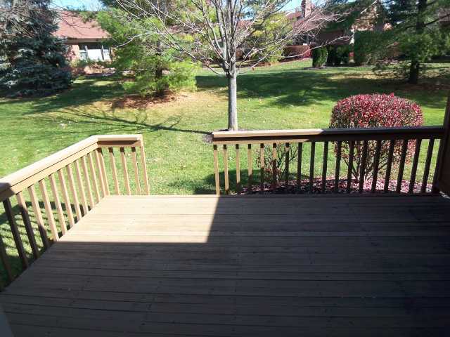 Yard/Garden