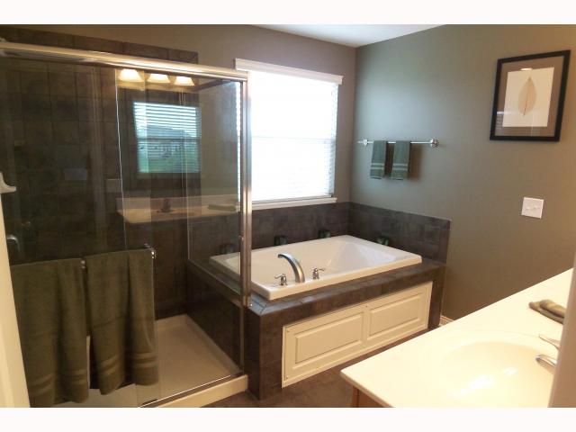 Owner Bath/Spa:  Luxury master bath with over-sized shower, double vanity, jetted tub