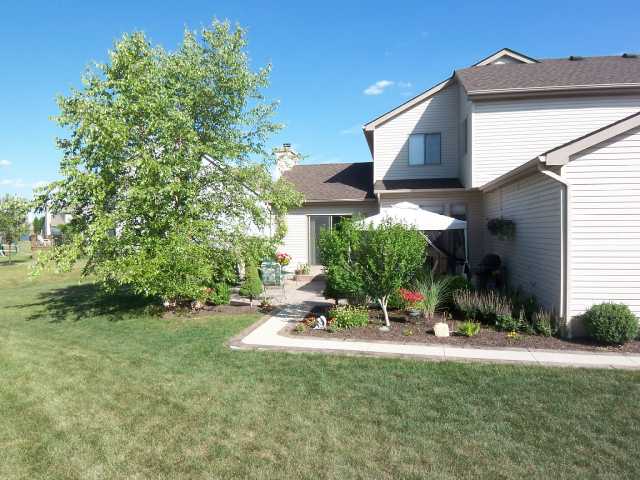 Yard/Garden:  Summer view