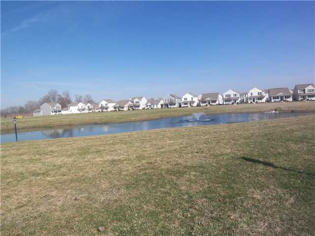 Yard/Garden:  Beautiful view from the front door!