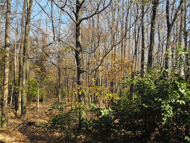 Yard/Garden:  Park like yard w/ mature trees