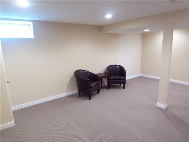 Finished Lower Level