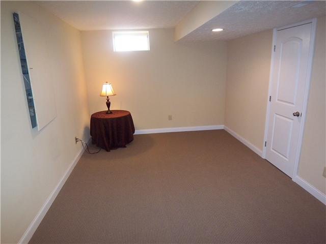 Finished Lower Level