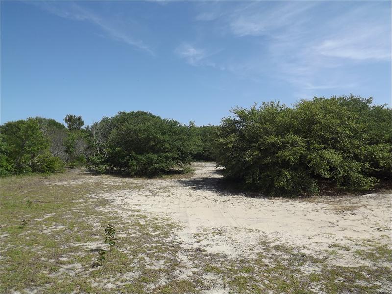 Open lot