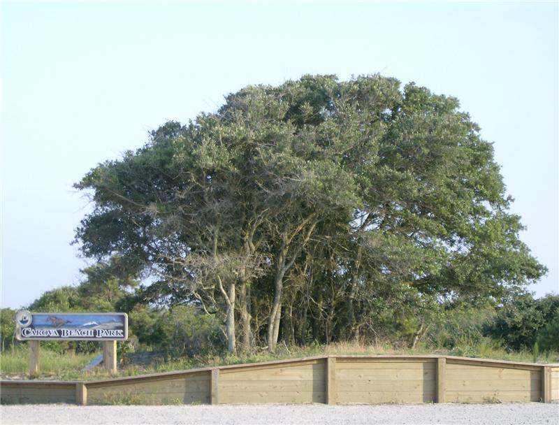 Carova Beach Park