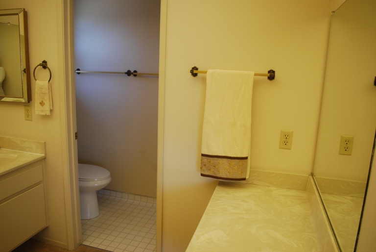 Master Bathroom with Separate Vanity
