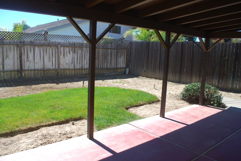 Automatic Sprinklers Front & Back Yards