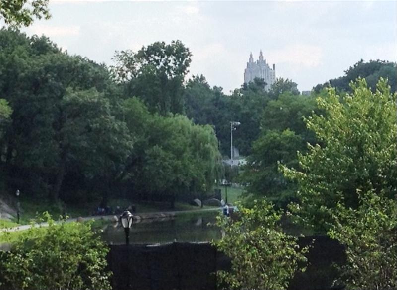 Central Park view