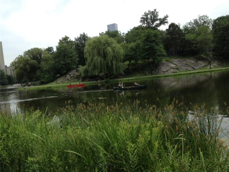 Harlem Meer, Central Park view