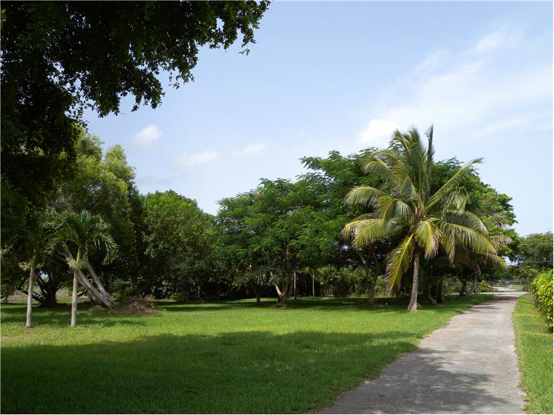 The lush tree covered front yard provides a park like setting