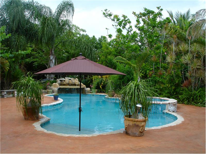 Tropical oasis pool and gardens