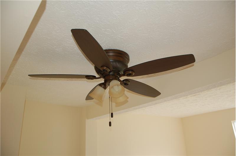 New Ceiling fan