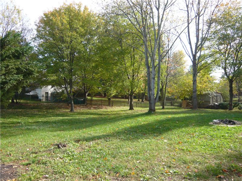 Back yard