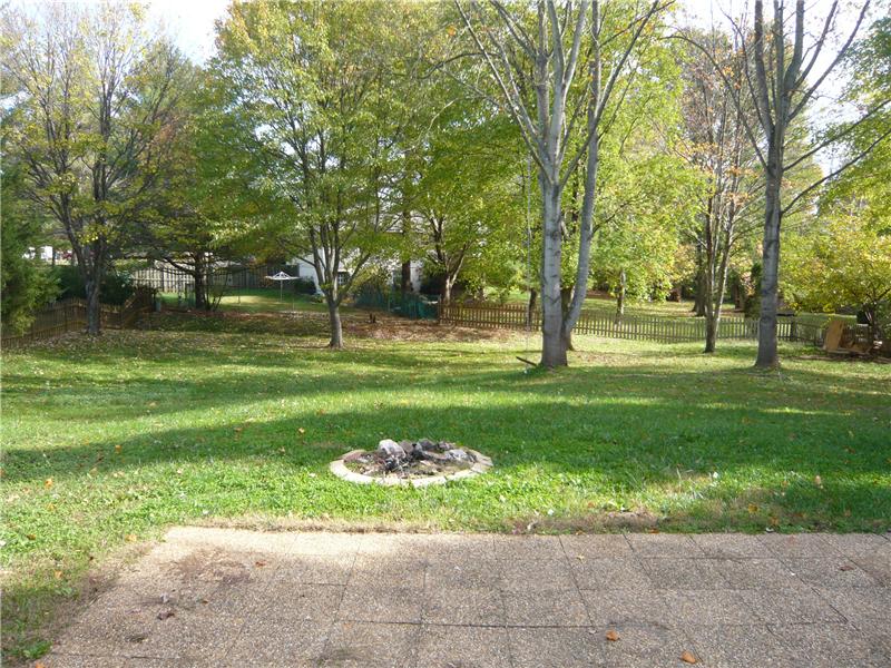 Backyard and patio