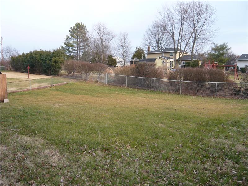 Back yard