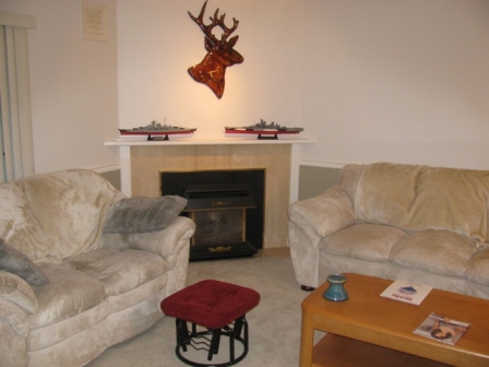 Living room with gas fire place