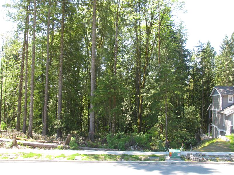 View of the greenbelt from the front porch