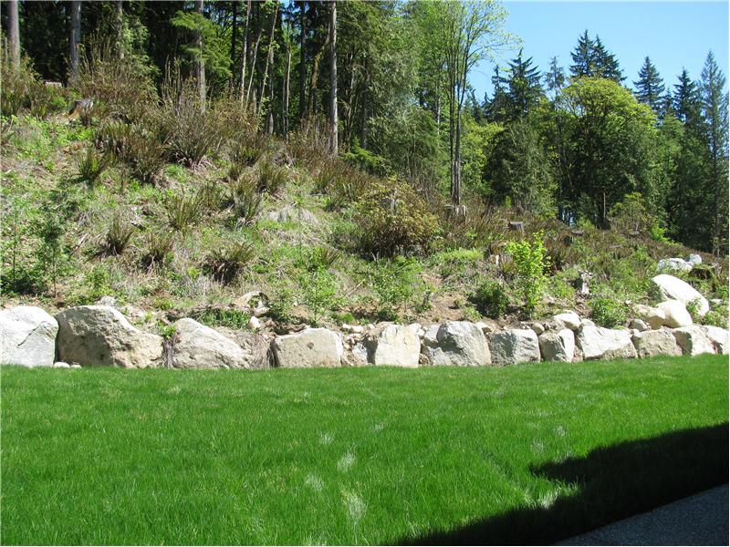 Backyard fully landscaped and showing the greenbelt