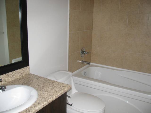 Basement Bathroom