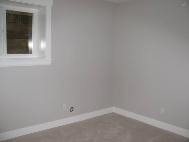 2nd Bedroom in the basement