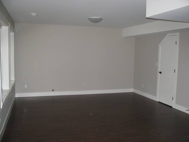 Rec Room in the basement