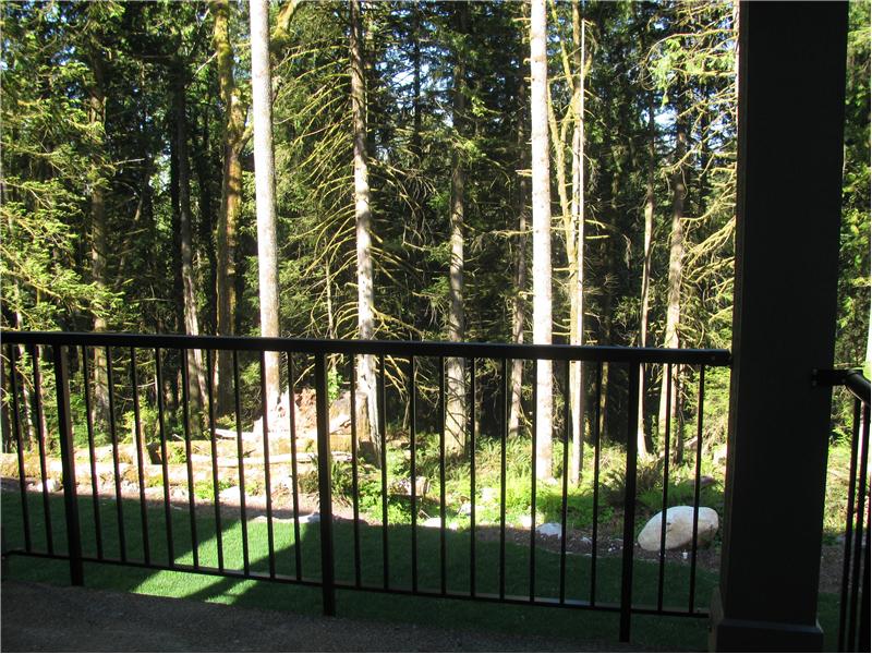 Sundeck overlooking the greenbelt