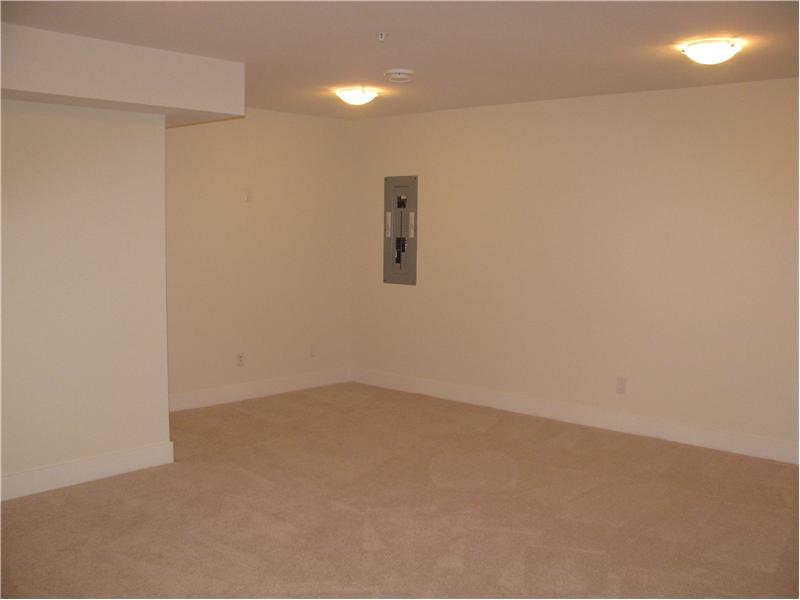Media Room in the Basement