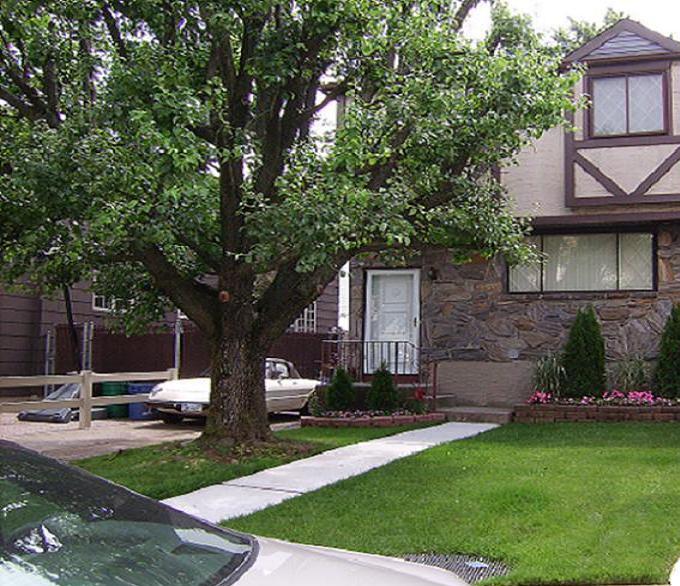 MLS listing # 1053185