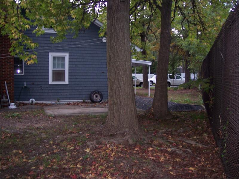 rear & side yard