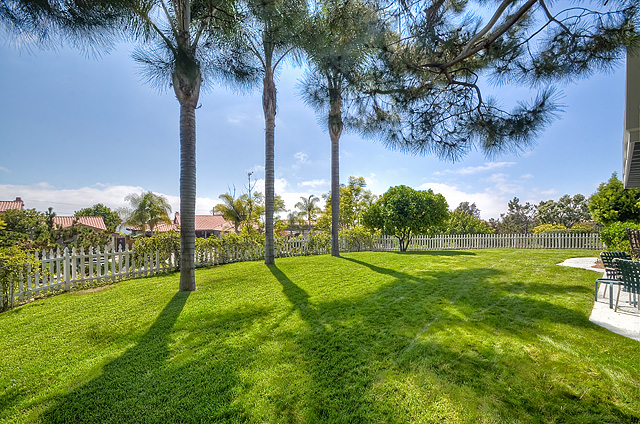 Front Yard