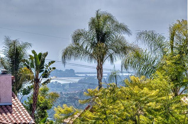 Ocean views