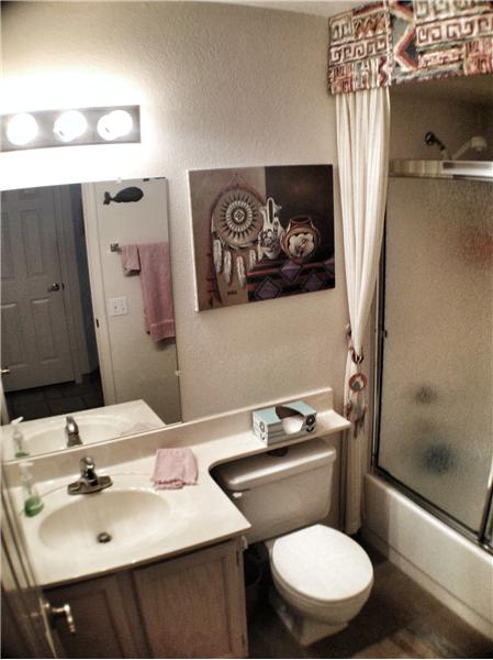 guest bathroom
